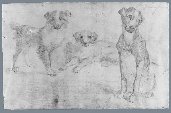 Dogs (from McGuire Scrapbook)