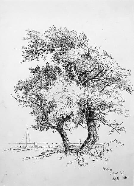 Willows, Bellport, Long Island