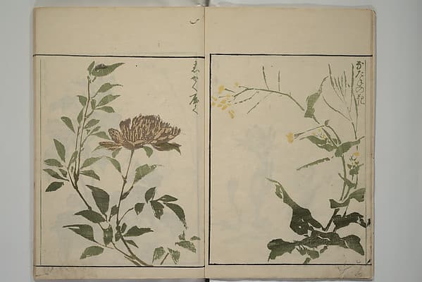 草花略画式|How to Draw Plants and Flowers Simply (Sōka ryakugashiki) 草花略画式