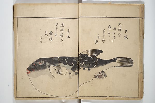 The Servants of the Dragon King of the Sea: Fish and Shells (Tatsu no miyatsuko gyokai fu) 龍の宮津子魚貝譜