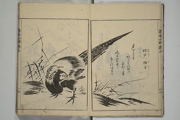 画本必用|A Picture Book on the Study of Paintings (Ehon hitsuryō) 画本必用