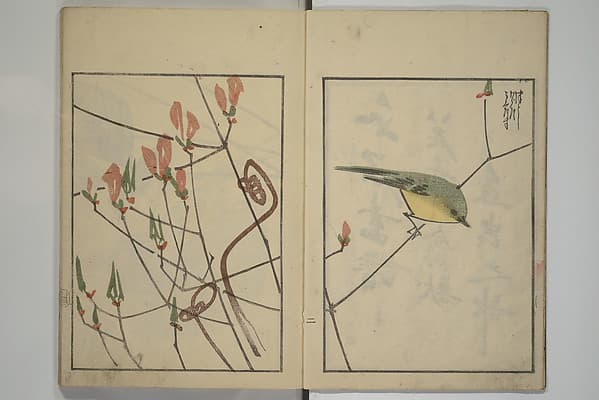 水石画譜 二編|Suiseki Picture Album (Suiseki gafu nihen), Second Series 水石画譜 二編