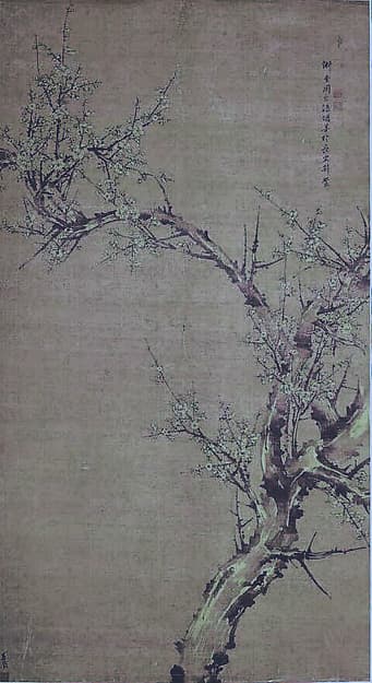 Prunus