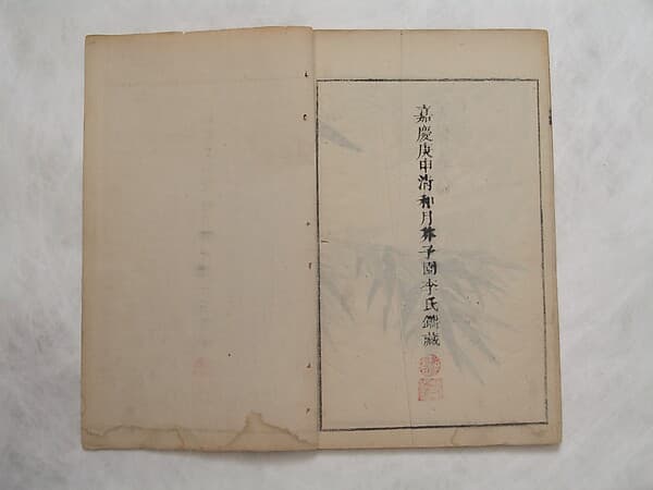 芥子園畫傳|The Mustard Seed Garden Painting Manual