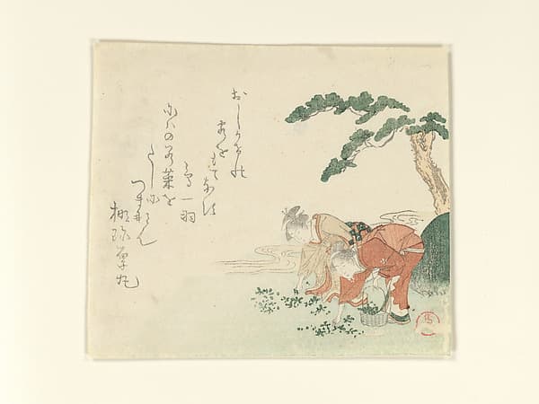 Two Girls Collect New Year's Herbs