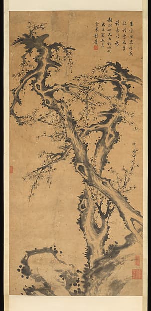 Blossoming Prunus Tree