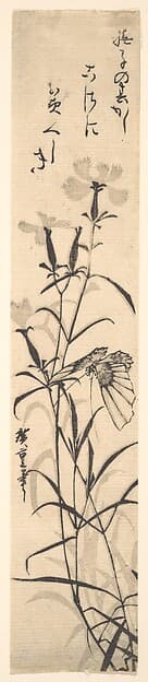 Black and White Print of Butterfly and Flower (a Pink)