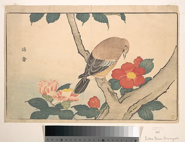 Camellias with a Bird