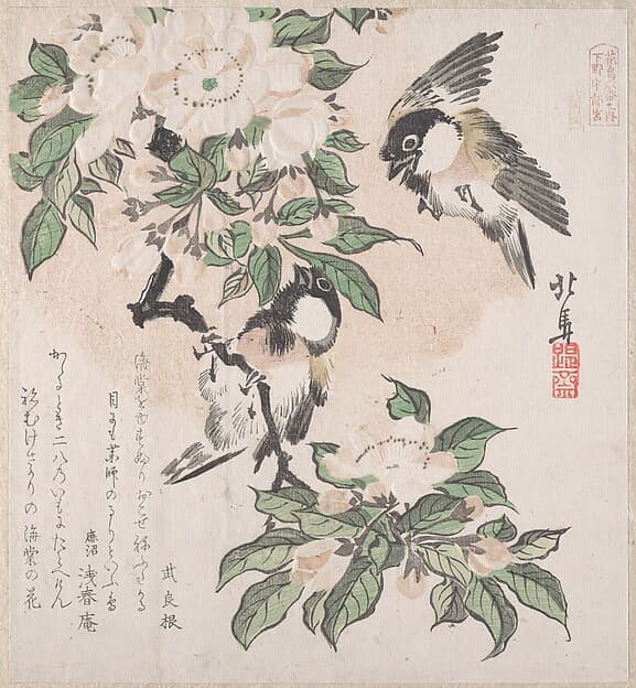 摺物帖 『春雨集』 『花鳥六番之内 下野宇都宮』 海棠に山雀|Spring Rain Collection (Harusame shū), vol. 3: Marsh-tits and Crab Apple Flowers