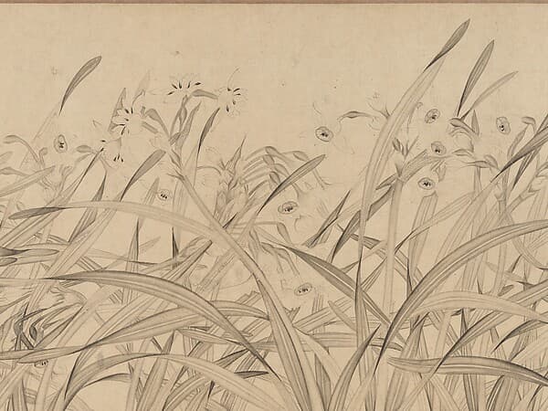 南宋 趙孟堅 水仙圖 卷|Narcissus