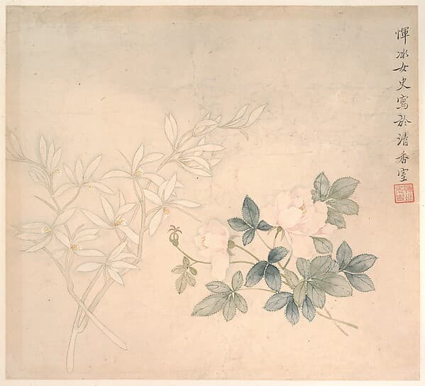 清 惲冰 花卉圖 册页|Flower Study