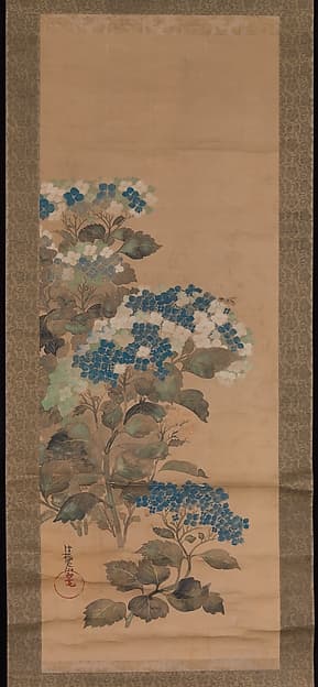 Hydrangeas