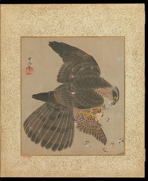 十鷹書画冊|Album of Hawks and Calligraphy