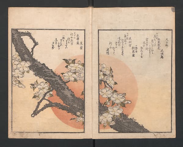 One Hundred Comic Poems of the Flower, One of the Three Friends, Tsuki, the Moon, Yuki, the Snow, and Hana, the Flower (Sansai hana hyakushu) 三才花百首