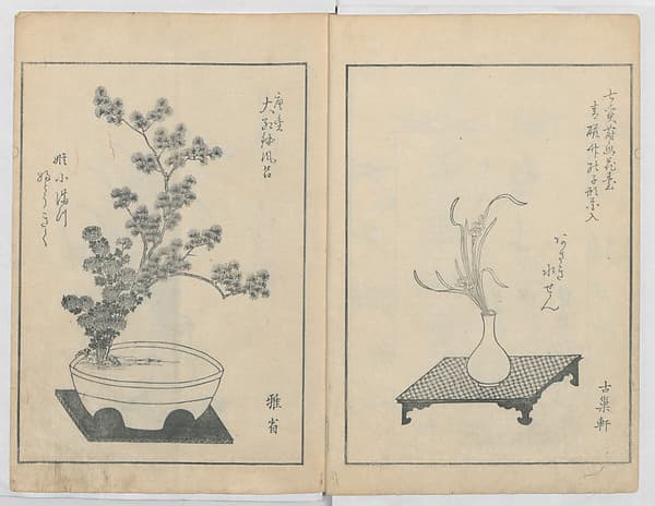 A Book on Flower Arrangement: Hare's-Foot Fern (Shinobugusa) 師廼部供作 (vol. 2); 思乃父魚砂 (vol. 3)