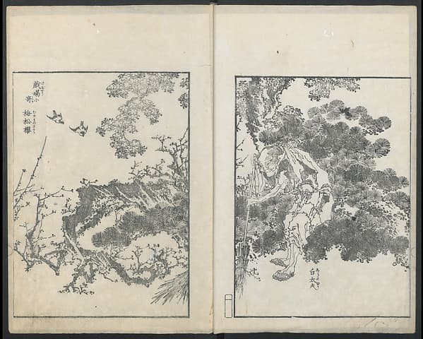 Examples of Hokusai's Drawing (Hokusai gashiki) 北斎画式