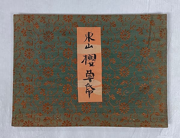 Higashiyama Sakura Sogoro|Dramatic Picture of Sakura