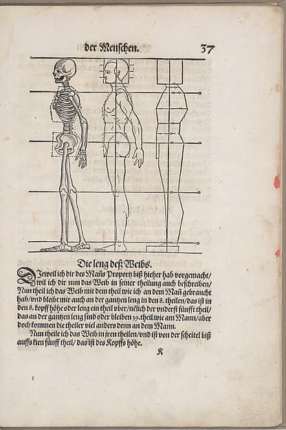 Des Circkels unnd Richtscheyts, auch der Perspectiva und Proportion der Menschen und Rosse, kurtze, doch gründtliche underweisung deß rechten gebrauchs