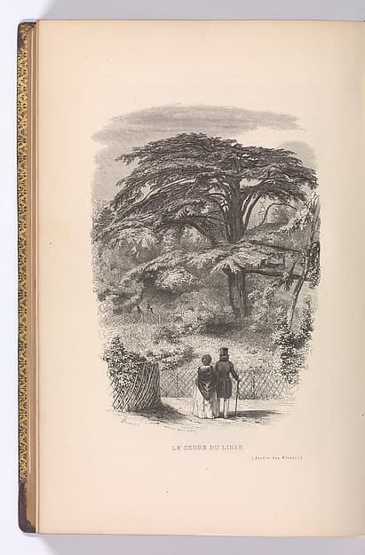 Le Jardin des Plantes, Descriptions et Moeurs des Mammiferes