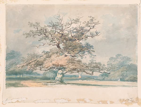A Landscape with an Old Oak (or Beech) Tree