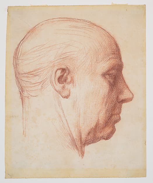 Profile of a Man