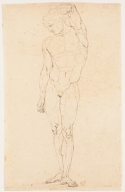 Nude Man Standing with One Arm Raised