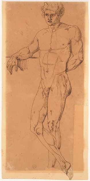 Standing Male Nude