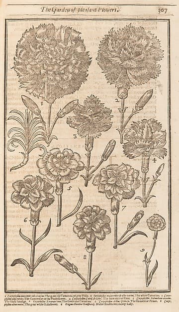 The Compleat Gardeners Practice, Directing the Exact Way of Gardening in three Parts.