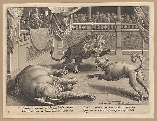 Venationes ferarum avium, piscium...