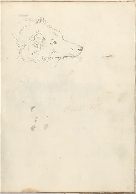 Head of a Dog (Smaller Italian Sketchbook, leaf 35 recto)