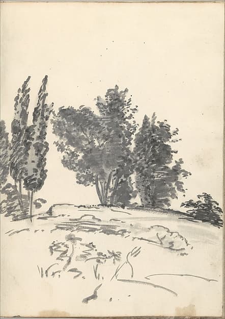 Trees, Bushes and Vegetation (Smaller Italian Sketchbook, leaf 40 recto)