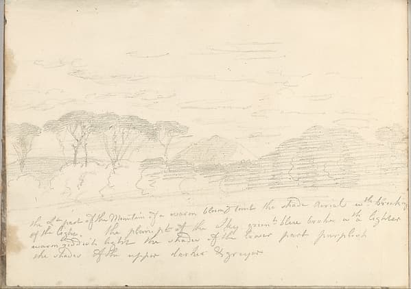 Landscape with Umbrella Pines and Distant Mountain (Smaller Italian Sketchbook, leaf 41 recto)