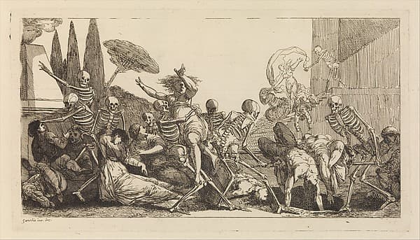 Nouveau Recueil d'Ostéologie et de Myologie