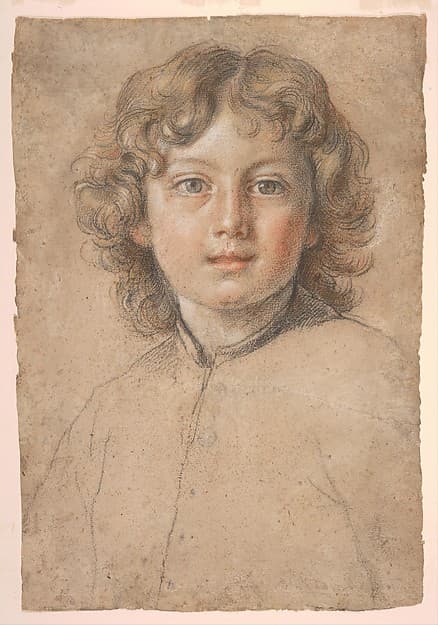 Head of a Young Boy