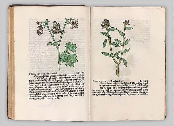 Herbarius - Gart der gesuntheit - Hortus sanitatis