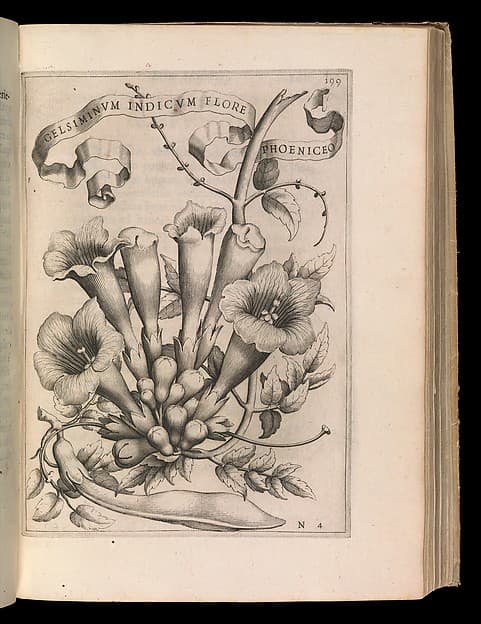 De Florum Cultura. Rome, 1633