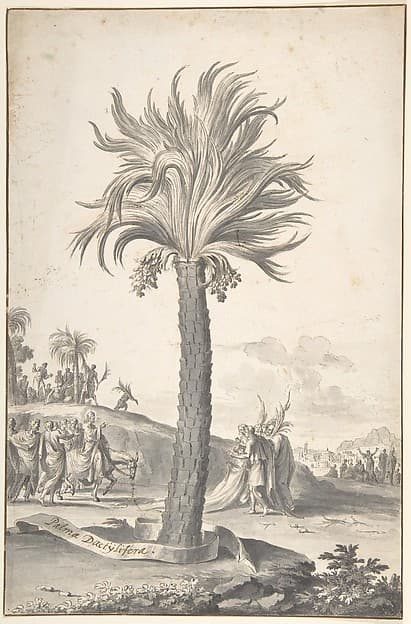 Christ's Entry Into Jerusalem