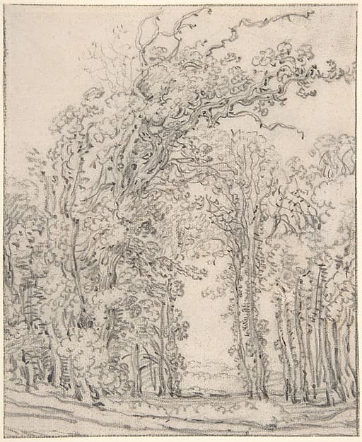 Study of Trees