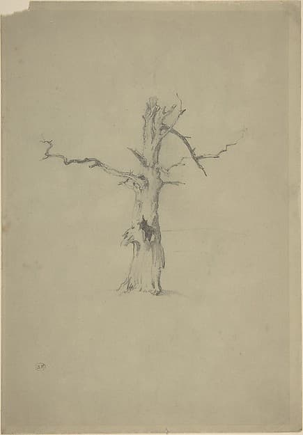 Study of a Dead Tree