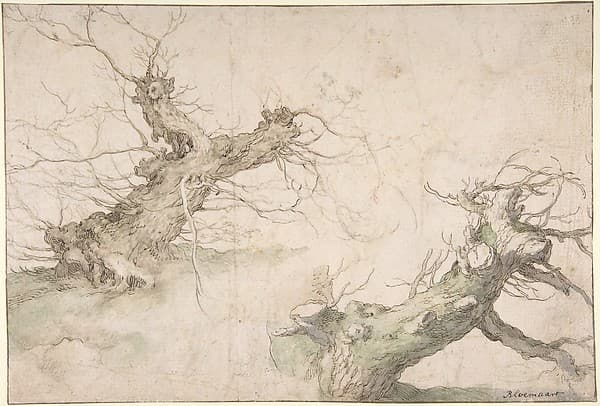 Studies of Two Pollard Willows; Verso: Wide Landscape Prospect