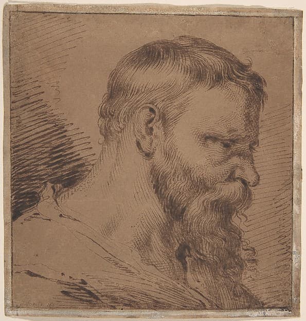 Bearded Head, Looking Down to the Right