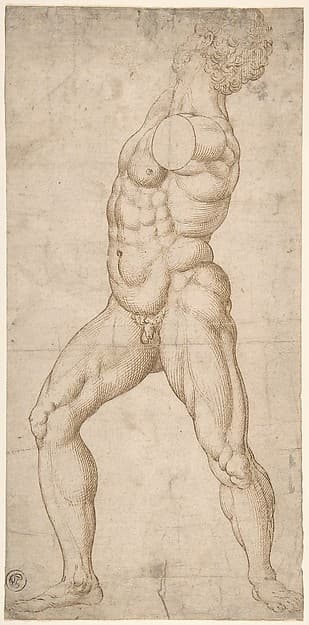 Study of a Standing Male Nude
