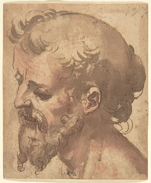 Head of a Bearded Man