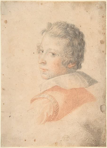 Portrait of a Young Man in Three-Quarter View Looking over His Left Shoulder
