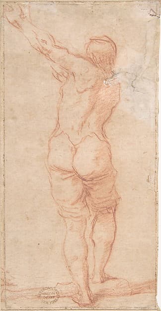 Male Figure with Arms Raised to the Left Seen From the Rear (recto); Male Figures with Arms Raised to the Left (front view of figure on recto) (verso)