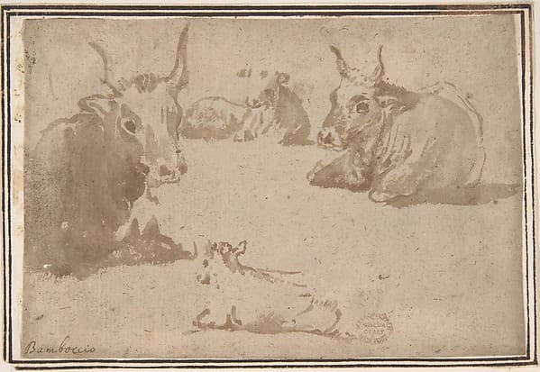 Studies of Cattle