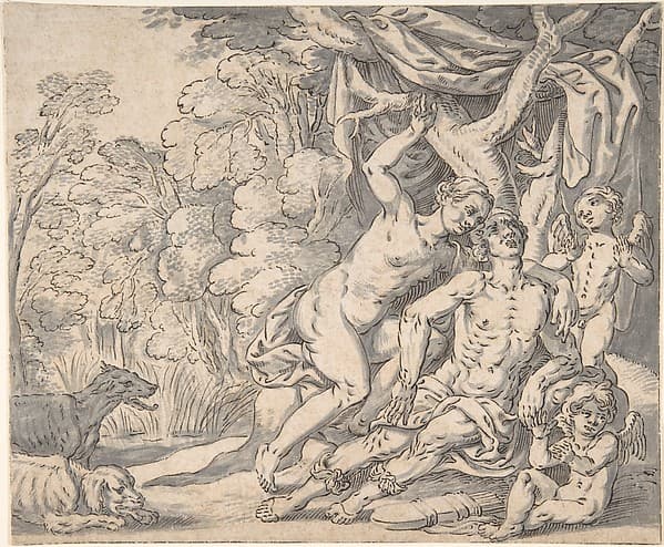 The Death of Adonis