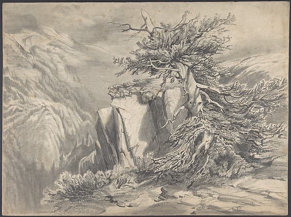 Broken Tree in Moutainous Landscape