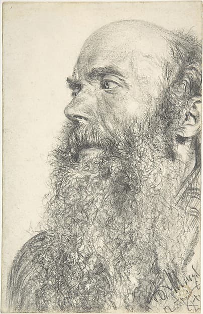 Head of a Bearded Man