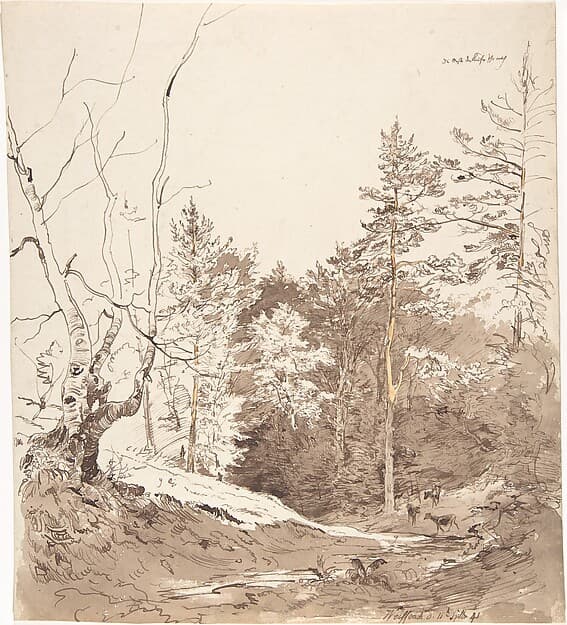 Landscape with cattle in Weißbach on the Rhön